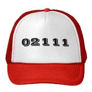CHINATOWN BOSTON MASSACHUSETTS ZIP CODE 02111 MESH HATS