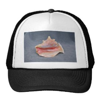Queen Conch Shell Mesh Hat