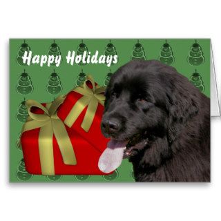 Newfoundland Dog Christmas Holiday Card