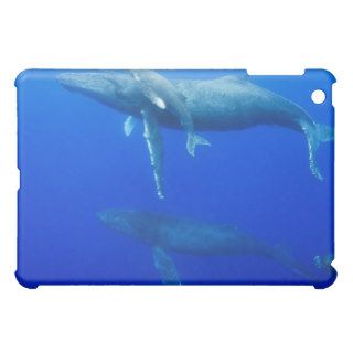 Male Humpback Whales Following Cow and Calf in Bre iPad Mini Case