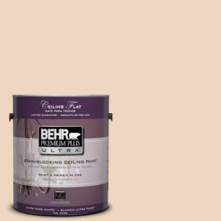 BEHR Premium Plus Ultra 1 gal. #PPU4 10 Ceiling Tinted to Porcelain Skin Interior Paint 555801