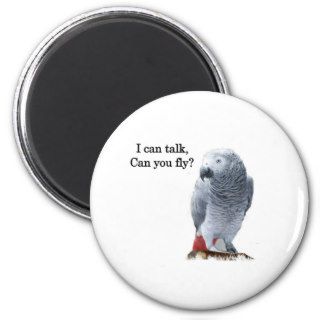 African Grey I can talk, can you fly? Refrigerator Magnet