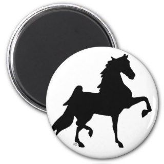 American Saddlebred Horse Magnets