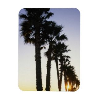 Silhouetted palm trees, Ventura, CA Flexible Magnet