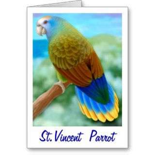 Endangered St Vincent Parrot Card
