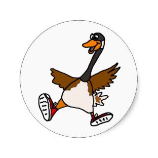 XX  Silly Goose Sticker