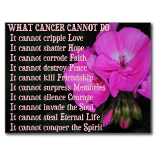 What Cancer Cannot Do PinkGeranium Flower Postcard