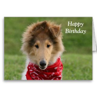 Rough collie puppy dog photo happy birthday card