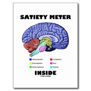 Satiety Meter Inside (Anatomical Brain) Postcards