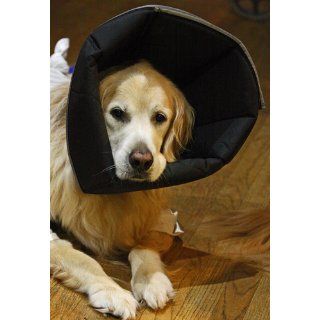 Comfy Cone Pet E Collar, Medium, Black  Pet Recovery Collars 