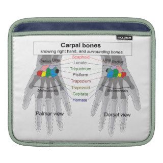 Human Carpus Bone Structure Diagram iPad Sleeve
