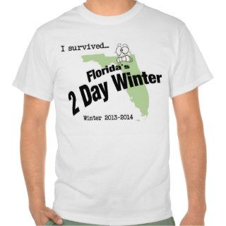 I survived Florida's 2 Day Winter 2013 2014 T shirt