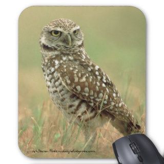 Burrowing Owl Mouse Pad