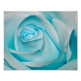 Turquoise Ice Rose Print