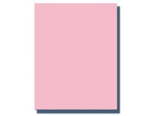 Bazzill   8.5 x 11 Cardstock   Canvas Bling Texture   Infatuation