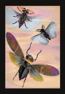 Buy Enlarge 0 587 15092 0C12X18 Three Insects in Flight  Canvas Size C12X18   Prints