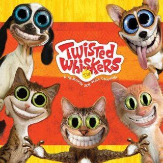 (12x12) Twisted Whiskers 16 Month Wall Calendar 2011  