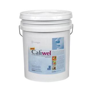 Caliwel Industrial 5 gal. Opaque Antimicrobial & Anti Mold Coating for Behind Walls and Basements 850856w