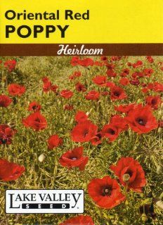 Lake Valley 602 Poppy Oriental Red Beauty Of Livermere Heirloom Seed Packet  Flowering Plants  Patio, Lawn & Garden
