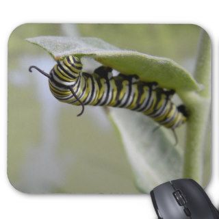 Yellow swallow tail butterfly caterpillar mousepad