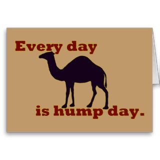 Camel "Every Day is Hump Day" Greeting Cards