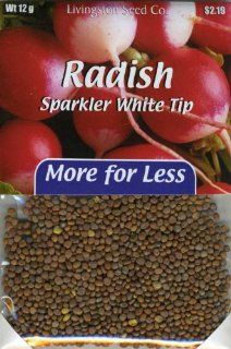 Plus Pack   Radish   Sparkler White Tip  Radish Plants  Patio, Lawn & Garden