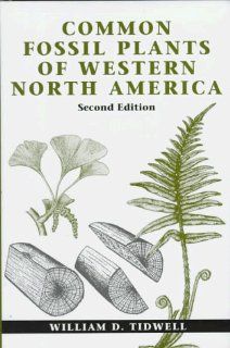 Common Fossil Plants of Western North America William D. Tidwell 9781560987833 Books