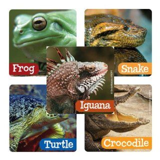 100   Assorted Reptiles Stickers Toys & Games