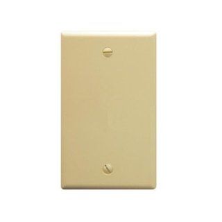 ICC ICC IC630EB0IV Flush Wall Plate Blank IVORY Computers & Accessories