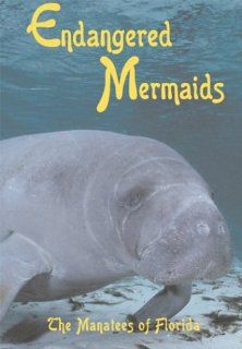 Endangered Mermaids The Manatees of Florida Jonathan Bird Movies & TV