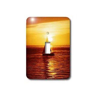 3dRose lsp_61704_1 Sailing On Lake Erie In The Sunset Single Toggle Switch   Switch Plates  