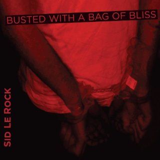 Busted With a Bag of Bliss Music