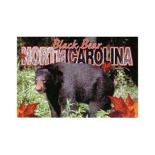 Jenkins   North Carolina Postcard  Black Bear (Cases of 700 items)   Blank Postcards