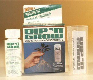 Rooting Hormone Concentrate   2 oz (60ml)  Bonsai Tools  Patio, Lawn & Garden