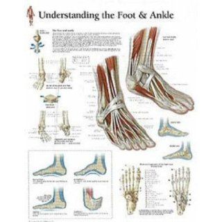 Understanding the Foot & Ankle chart Wall Chart Scientific Publishing 9781930633728 Books