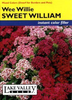 Lake Valley 690 Sweet William Wee Willie Mixed Colors Seed Packet  Flowering Plants  Patio, Lawn & Garden