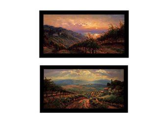 'TUSCANY SPLENDOR/TUSCANY REFLECTIONS' Italian Landscape art 2 Piece set FRAMED PRINTS   Leon Roulette 22x40 Each  