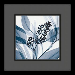 Eucalyptus I by Steven N. Meyers, Framed Print Art   13.29 x 13.29