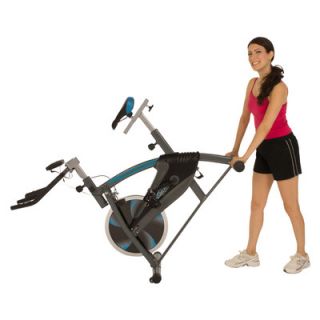 ProGear 60 Training Indoor Cycling Bike with Computer Monitor and