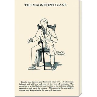 Global Gallery The Magnetized Cane by Retromagic Stretched Canvas
