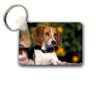 Beagle puppy cute Keychain Key Chain Great Unique Gift Idea 