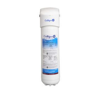 Culligan Level 4 EZ Change Icemaker and Drinking Water Filter