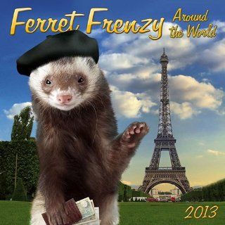 (12x12) Ferret Frenzy Around the World   2013 Wall Calendar   Prints