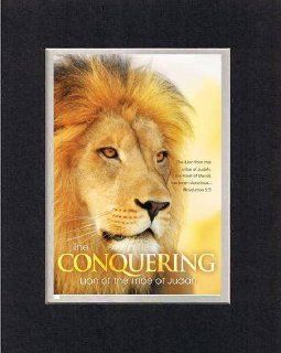 The Conquering Lion of the Tribe of Judah   Revelation 55. . . 8 x 10 Inches Biblical/Religious Verses set in Double Beveled Matting (Black on White)   A Timeless and Priceless Poetry Keepsake Collection   Prints