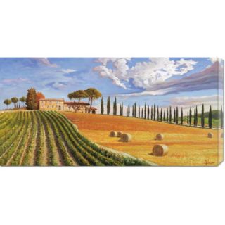 Global Gallery Colline Toscane by Adriano Galasso Stretched Canvas