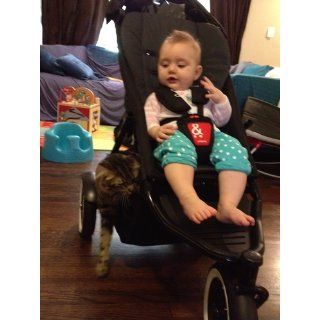 phil&teds Dot Buggy Stroller, Apple  Infant Car Seat Stroller Travel Systems  Baby