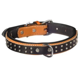 Weaver Pet Products Spikes Double Ply Dog Collar