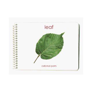 Leaf External Parts Book (External Anatomy of a Leaf) Maitri Learning 9781606290101 Books