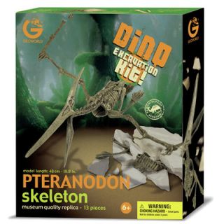 Geo World Dino Excavation Kit Pteranodon Skeleton