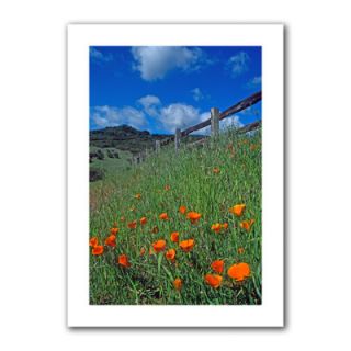 Art Wall Poppies in Monets Garden by Kathy Yates Photographic Print
